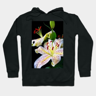 Wonderful Close Up Of Sonata Three Stem lily Hoodie